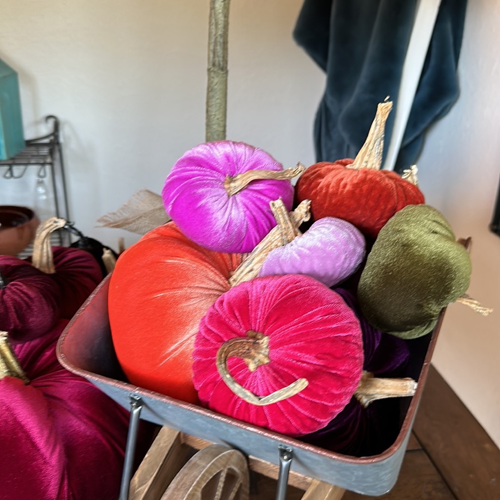 Velvet pumpkins!! - Picture 2 of 4